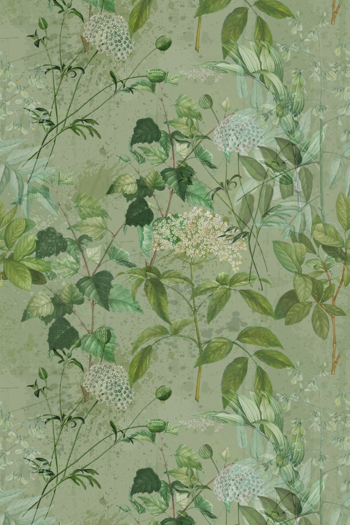 Papel de parede botânico folhagem verde sage — imagem 2