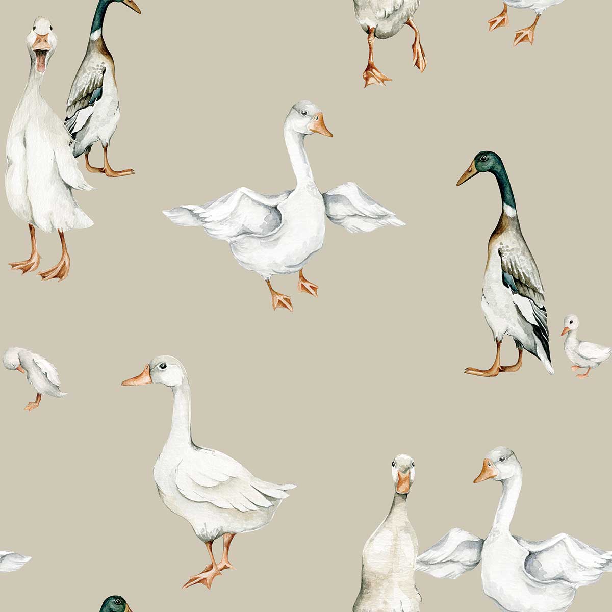 Papel de parede patos brancos estilo vintage — imagem 2