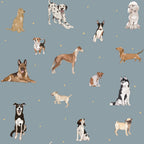 Papel de parede de cães em estilo divertido — imagem 10