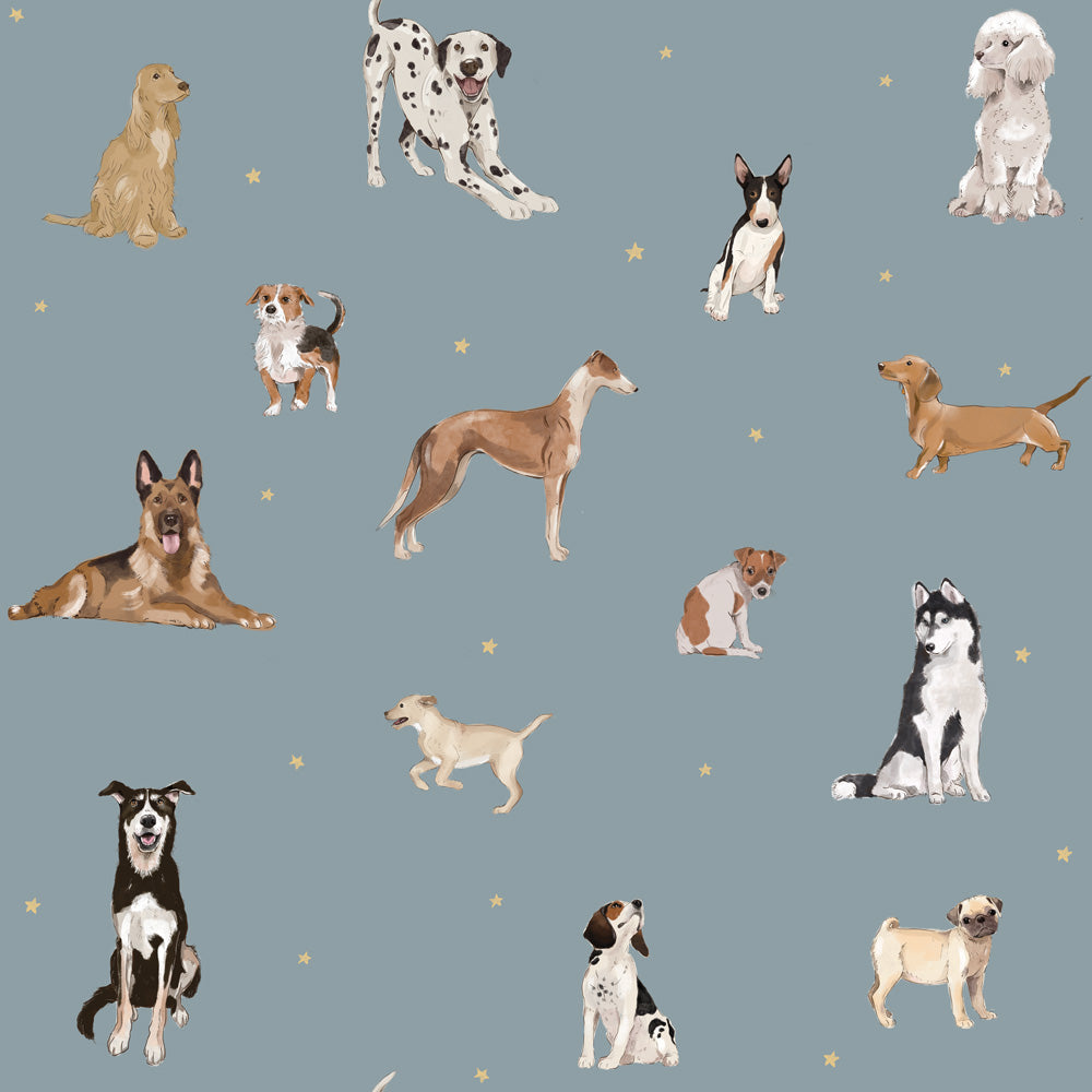 Papel de parede de cães em estilo divertido — imagem 10