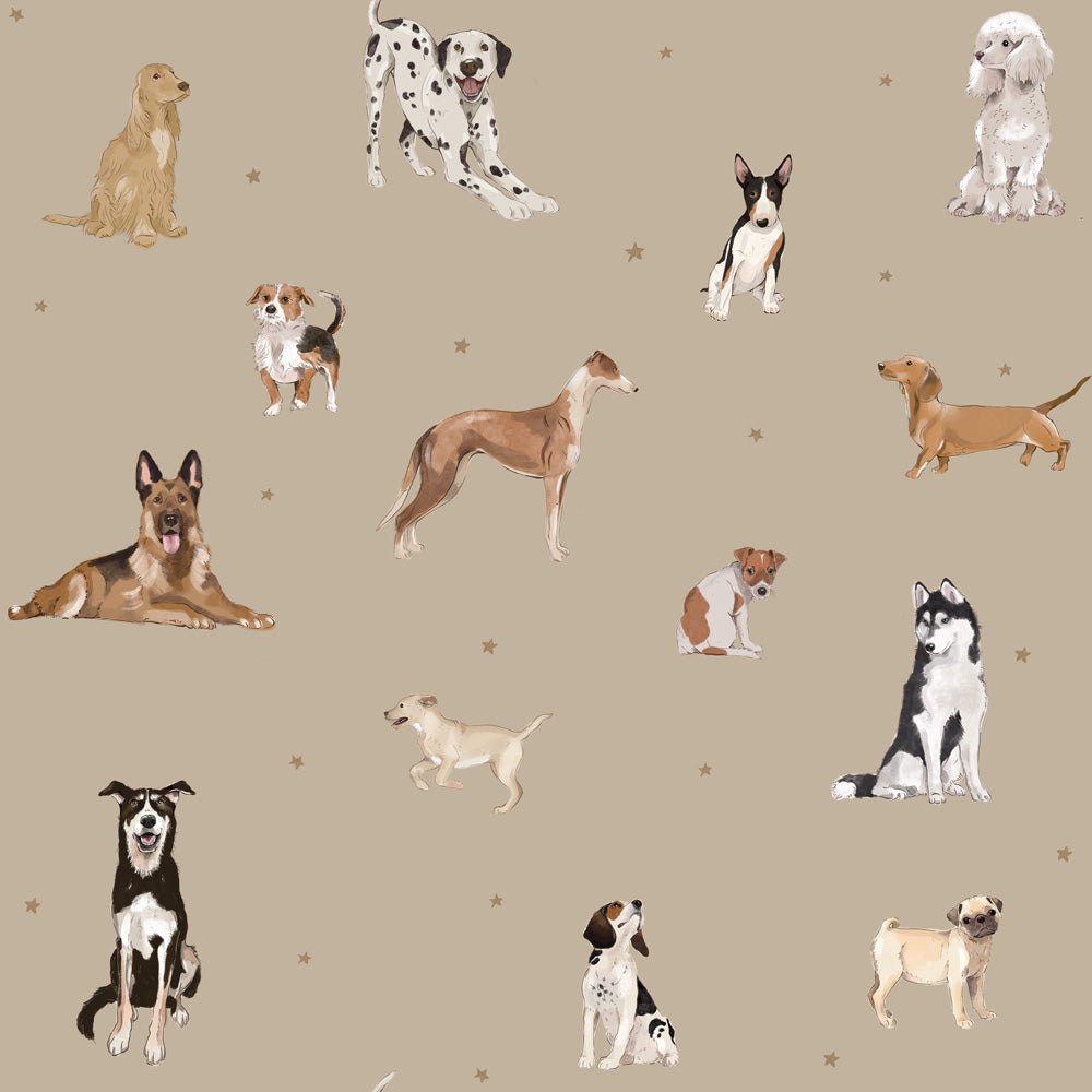 Papel de parede de cães em estilo divertido — imagem 12