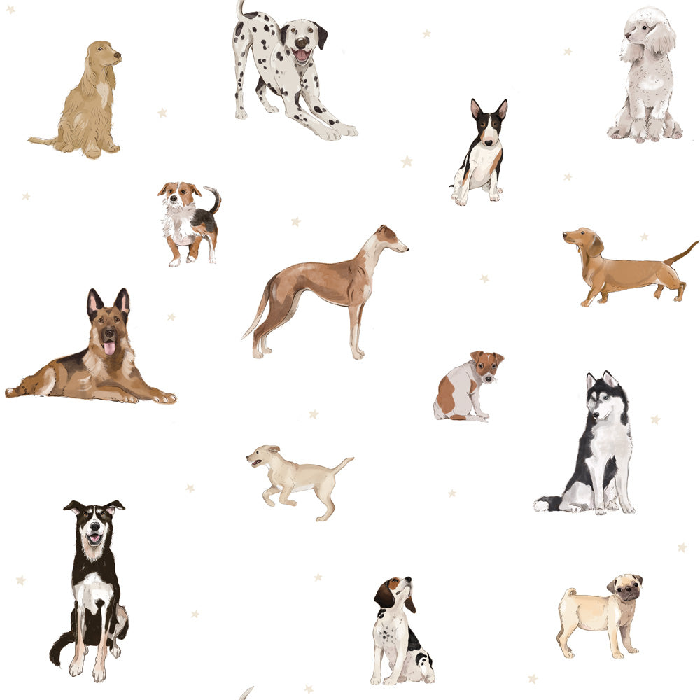 Papel de parede de cães em estilo divertido — imagem 9
