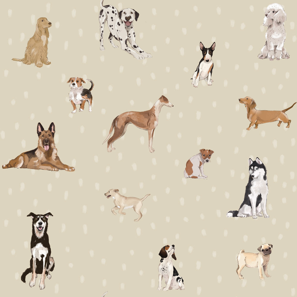 Papel de parede de cães em estilo divertido — imagem 11