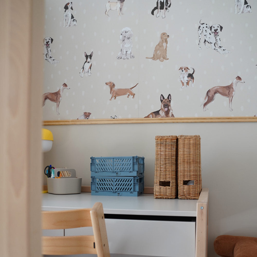 Papel de parede de cães em estilo divertido — imagem 2