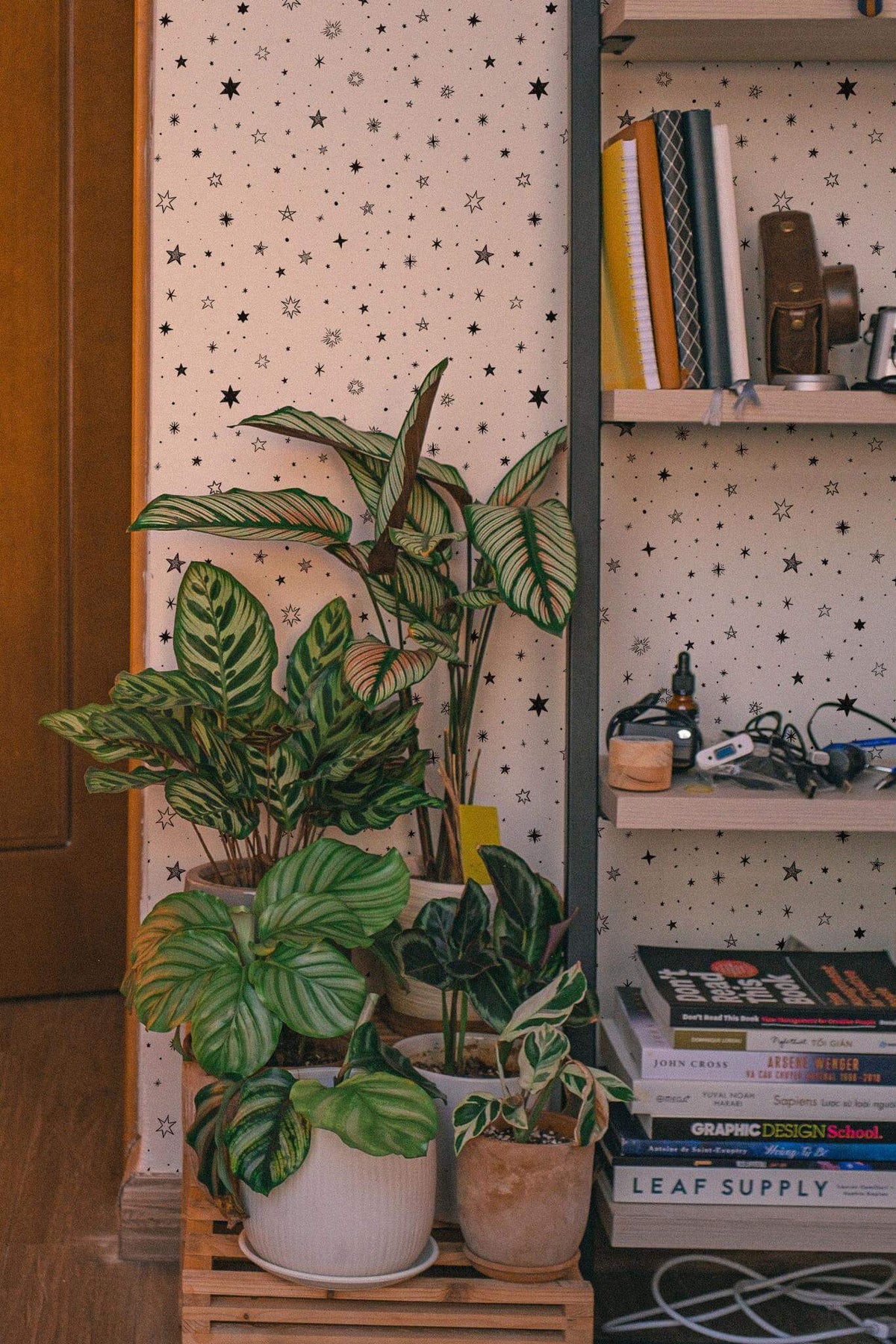 Papel de parede estrelas preto e branco minimalista — imagem 4