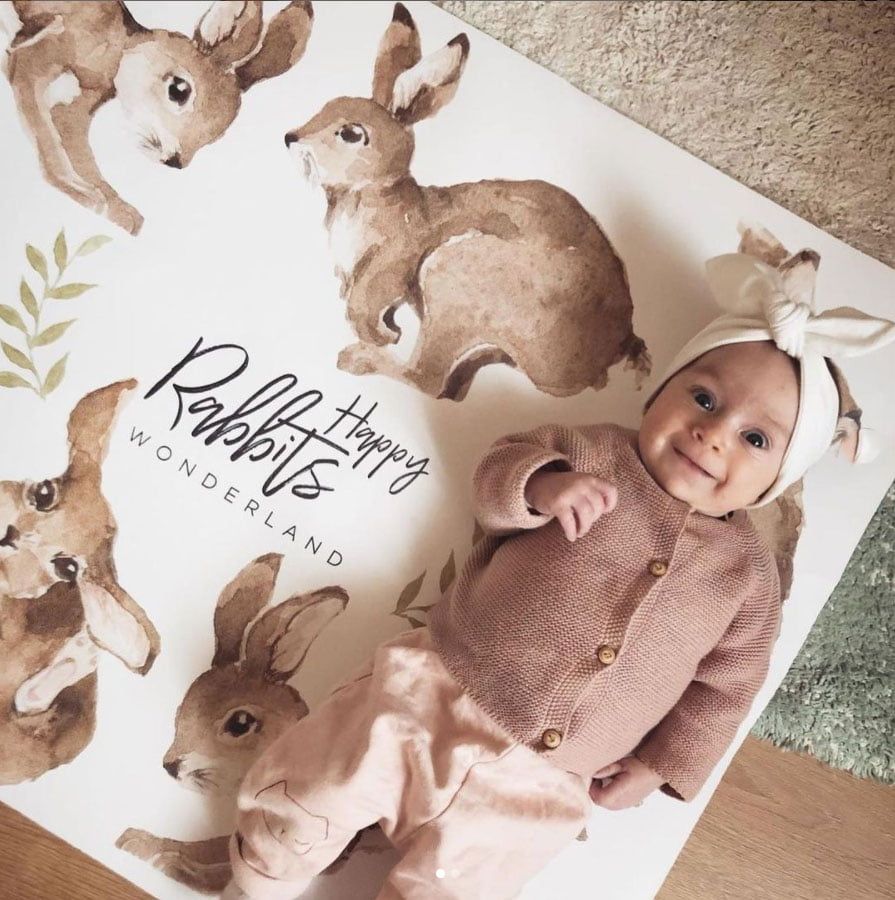 Autocolantes de parede coelhos floresta pastel