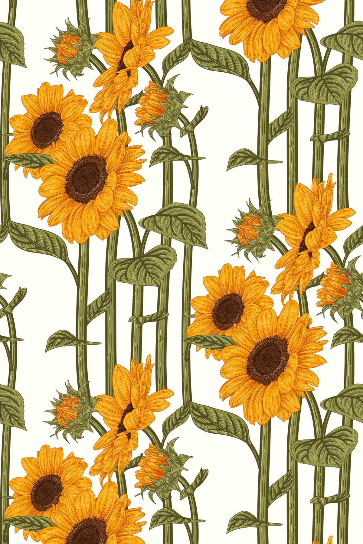 Papel de parede girassóis estilo botânico verde e amarelo — imagem 2