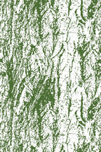 Papel de parede casca de árvore eclettico — imagem 2