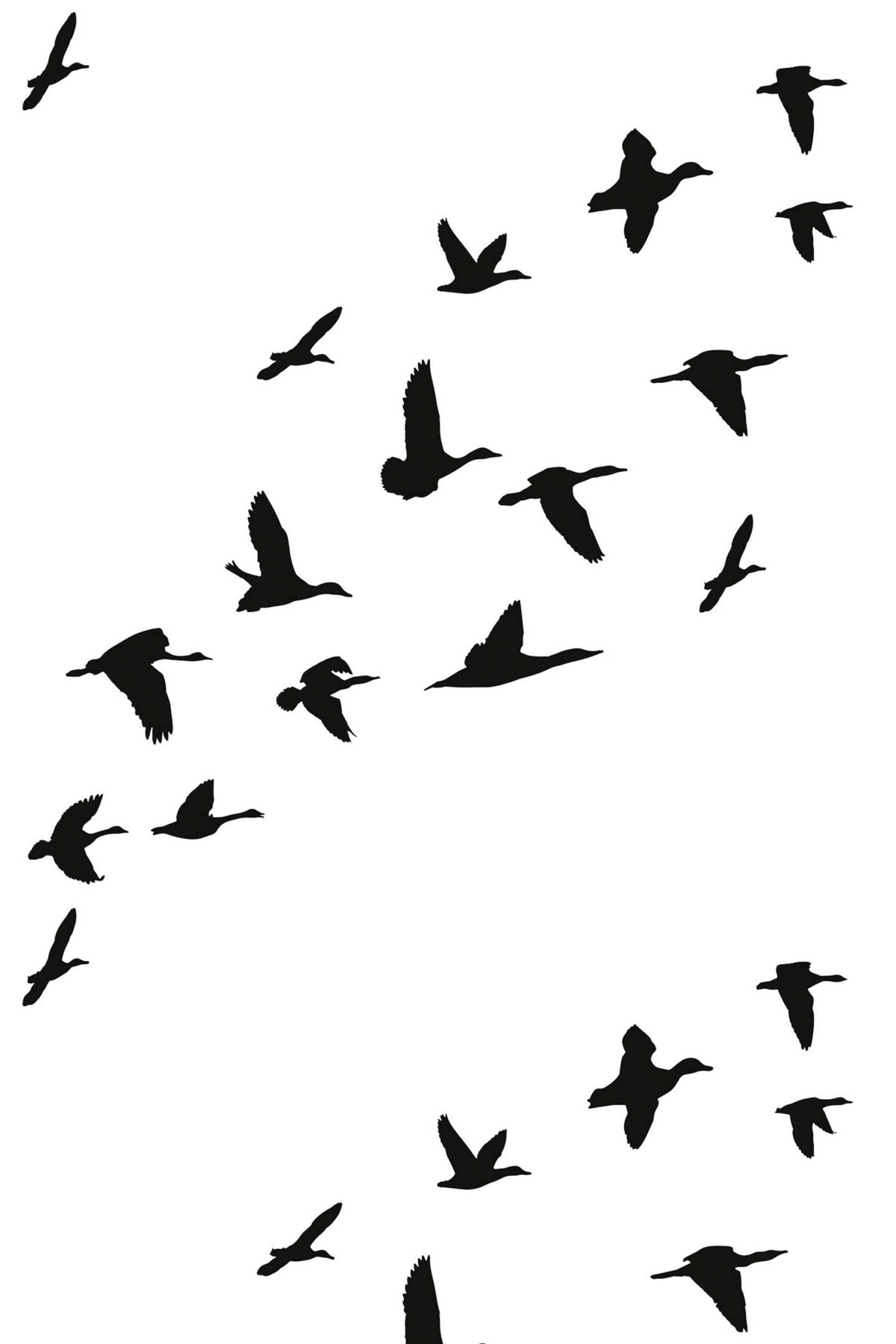 Papel de parede gansos silhueta preto e branco — imagem 2