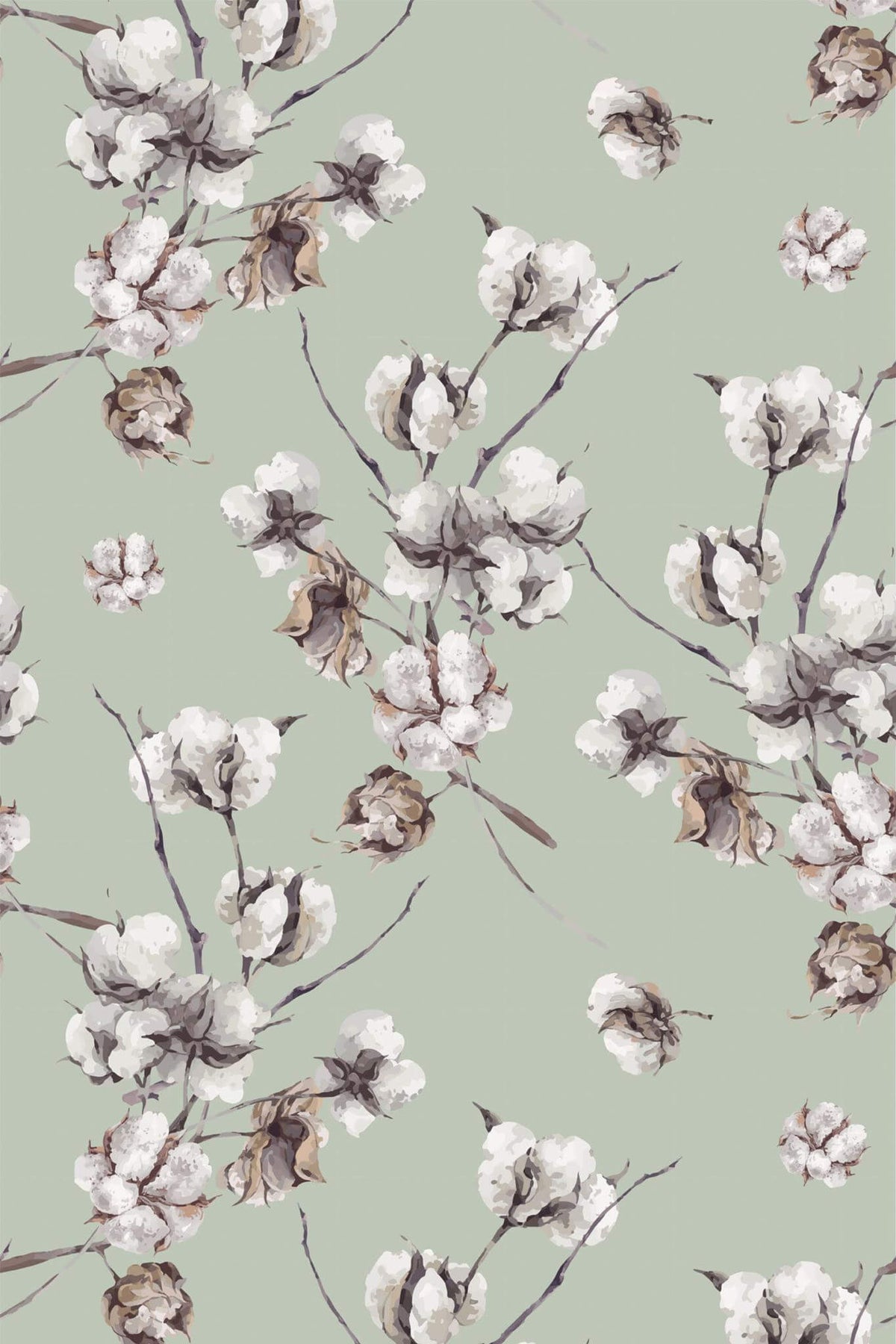 Papel de parede flores de algodão verde-sálvia — imagem 2