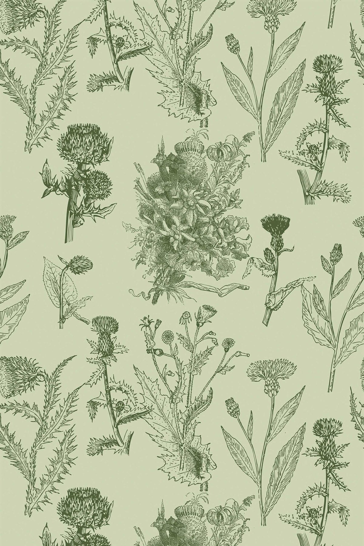 Papel de parede botânico vintage verde sage — imagem 2