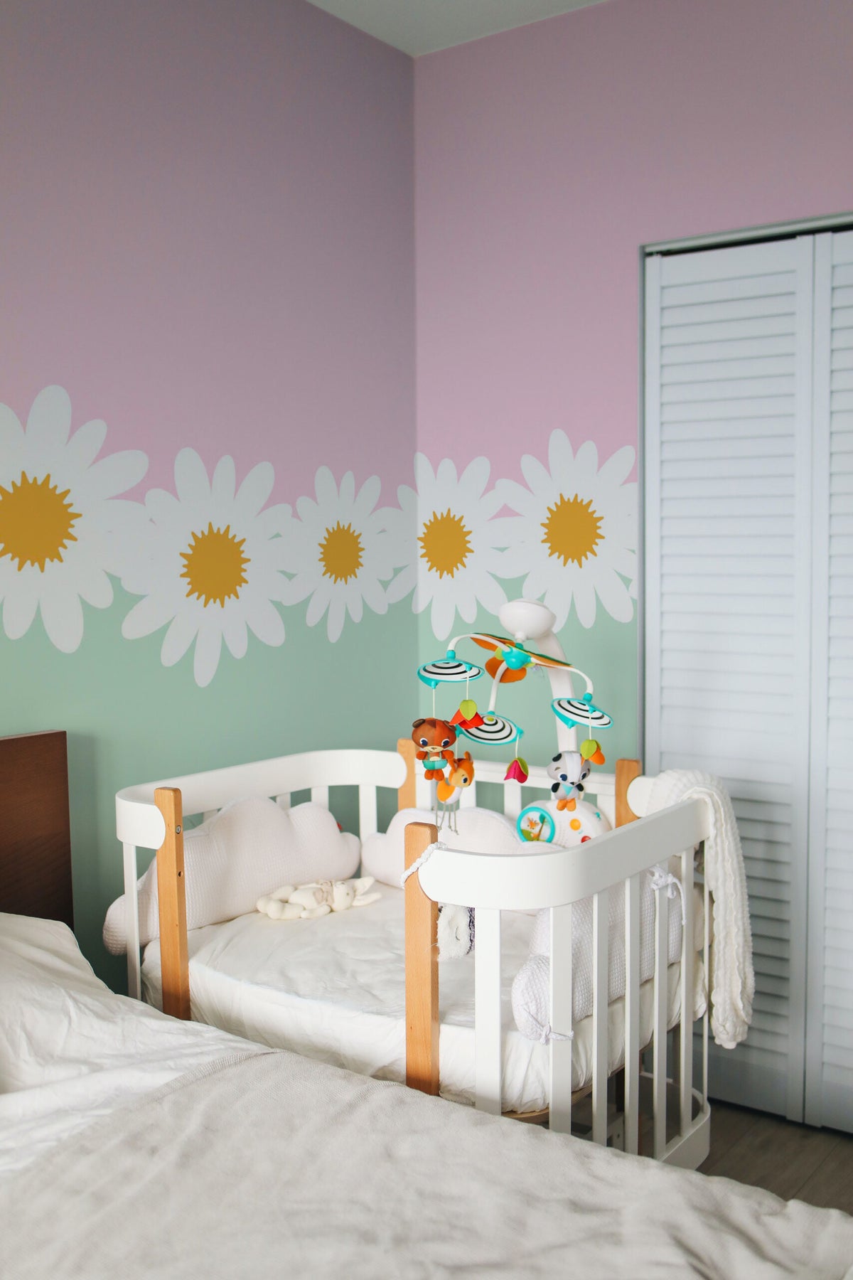 Mural de parede floral margaridas rosa e verde — imagem 3